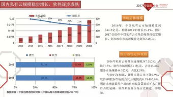 2017年中國公共云發(fā)展調(diào)查報(bào)告與可信云觀察 基礎(chǔ)軟件服務(wù)分析